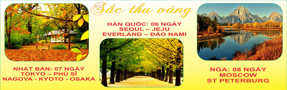 OSC Việt Nam Travel - Sắc thu vàng
